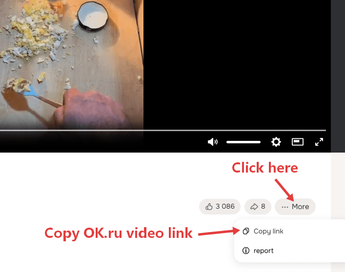 How to Download OK.ru Videos with SnapWC - Step 1