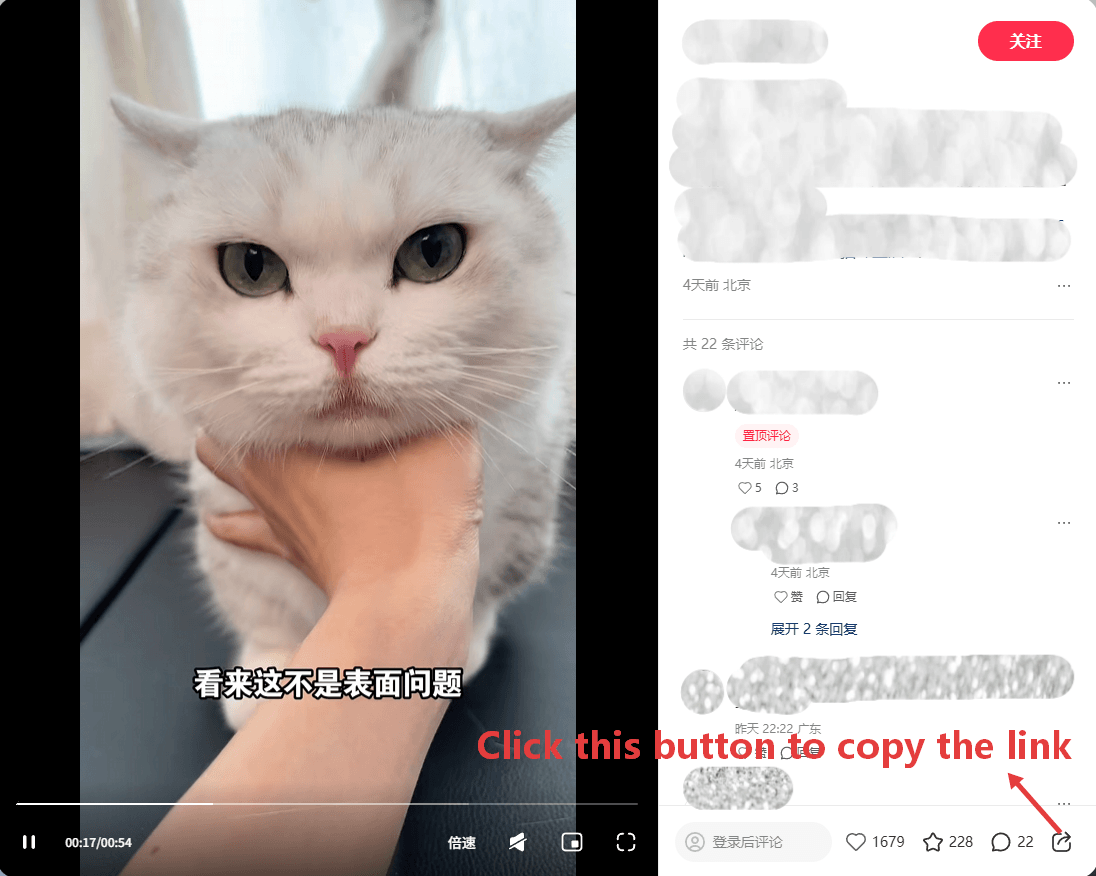 How to Download Xiaohongshu Videos and Images with SnapWC - Step 1 How to Download Xiaohongshu Videos and Images with SnapWC - Step 1