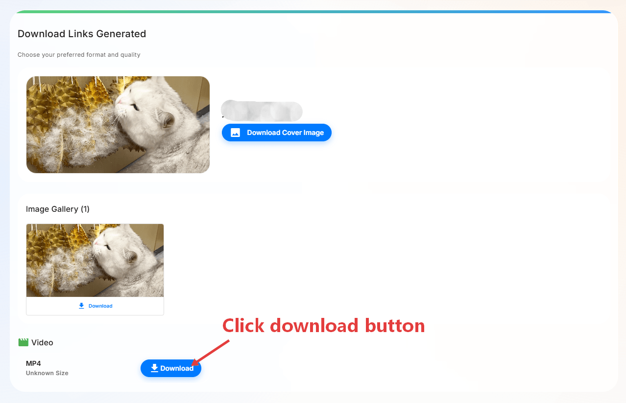 How to Download Xiaohongshu Videos and Images with SnapWC - Step 4 How to Download Xiaohongshu Videos and Images with SnapWC - Step 4